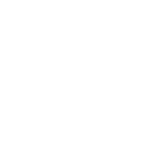 styflux logo